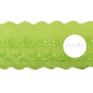 BORDADO CTL108 225 LIMAO 7,5CM 13,7M