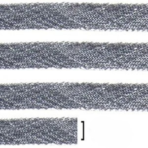 FITILHO 20 PRATA LARG:20MM 50METROS